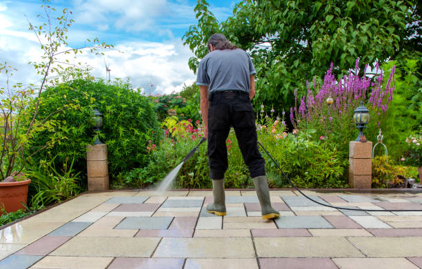 Best Patio and Deck Pressure Washing  in Chester Gap, VA